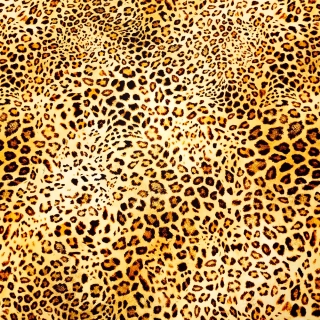 hedvábný satén, leopard